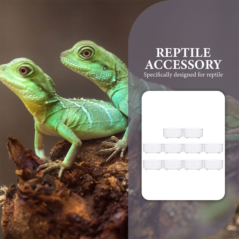 10Pcs Acrylic Reptile Food Dis – Water Dish Reptile Bewertung und Preis