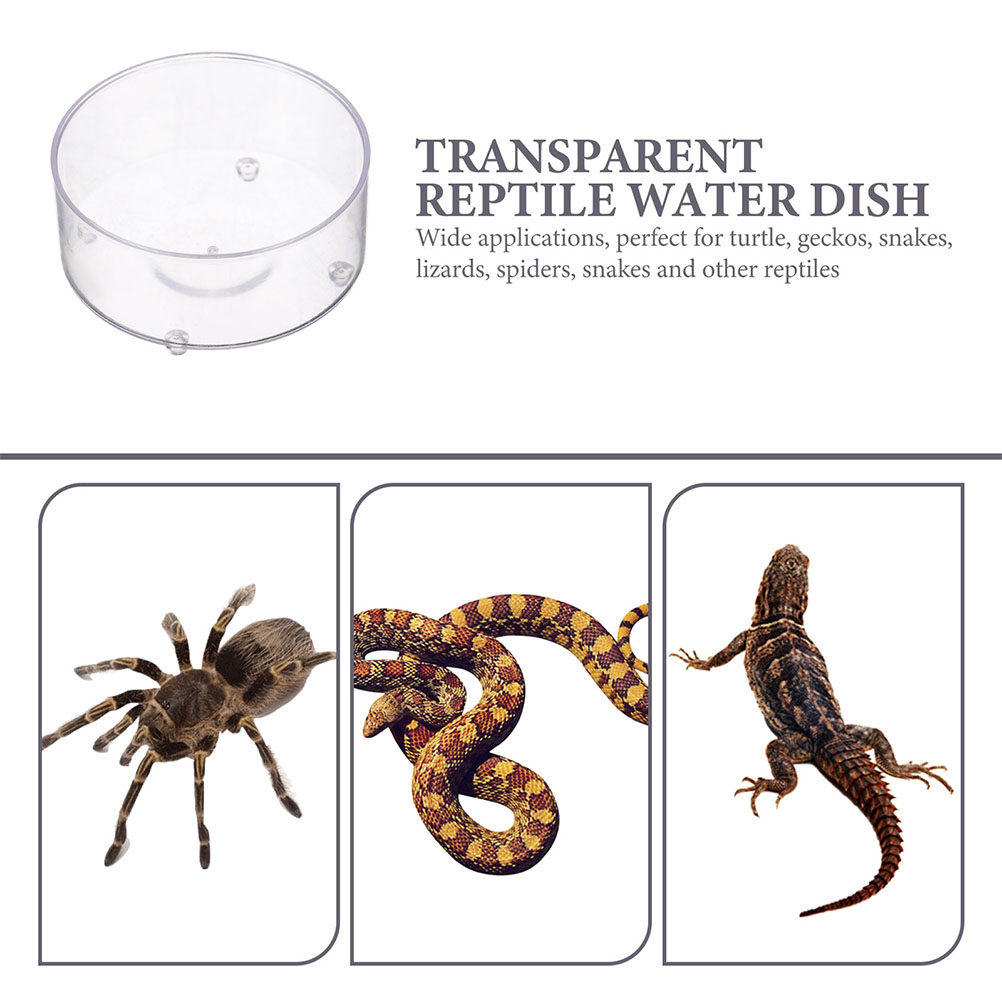 10Pcs Acrylic Reptile Food Dis – Water Dish Reptile Bewertung und Preis