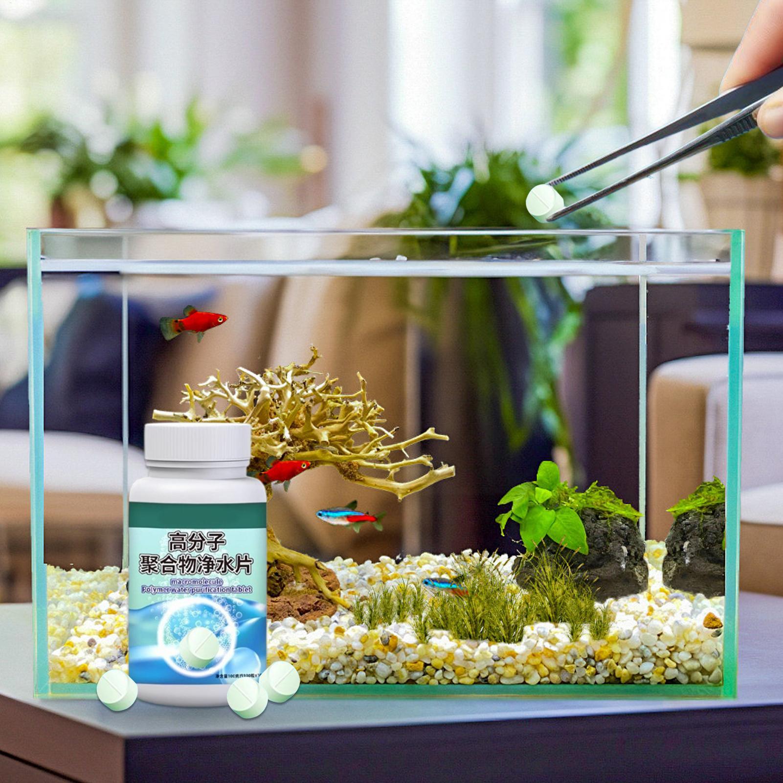 Fish Can Algae Remover Aquariu – Water Dish Reptile Bewertung und Preis
