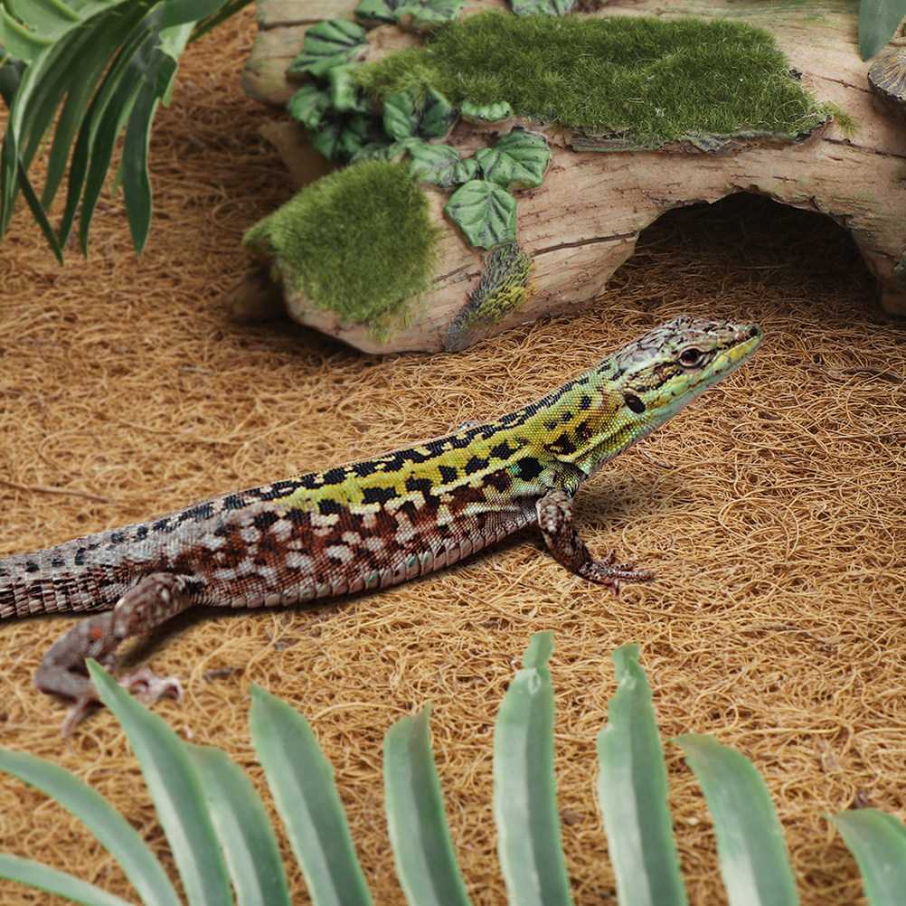 Reptile Carpet Natural Coconut – Substrate Coconut Fiber Bewertung und Preis