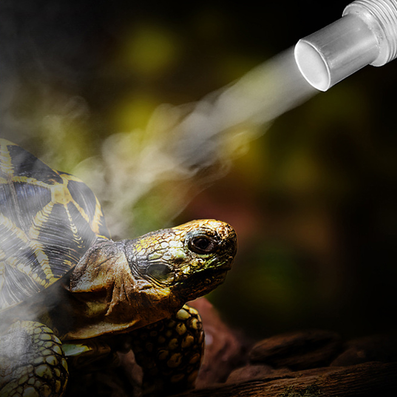 4L Reptile Terrariums Humidifi – Terrarium Fogger Ultrasonic Bewertung und Preis