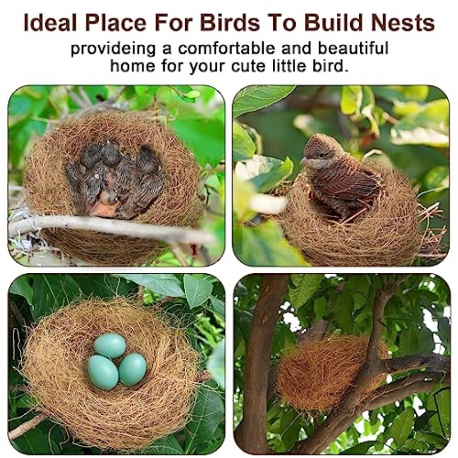 PCS Coconut Fiber for Bird Nes – Substrate Coconut Fiber Bewertung und Preis
