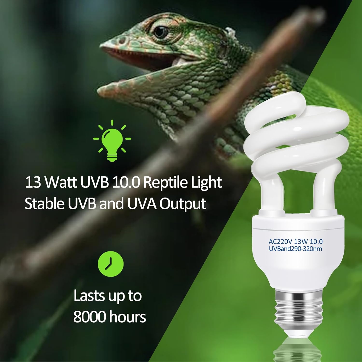 UVB 5.0 10.0 Reptile Heating L – Calcium Powder Reptile Bewertung und Preis