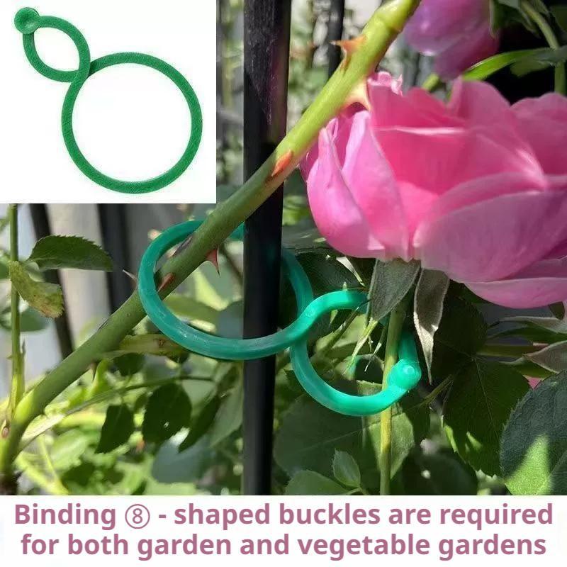 100 Pcs Plant Support Clips He – Vine Climbing Plastic Bewertung und Preis
