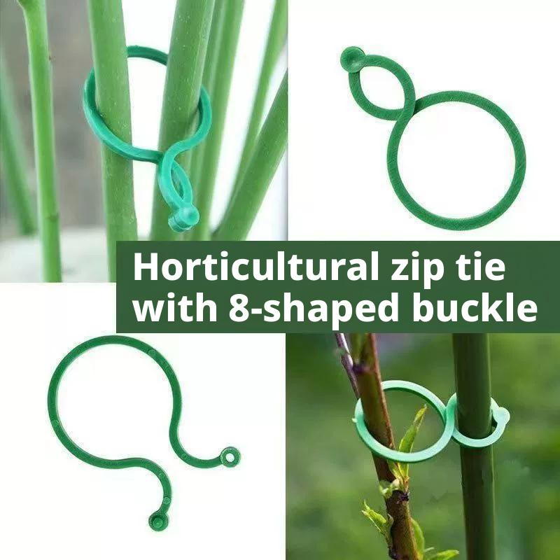 100 Pcs Plant Support Clips He – Vine Climbing Plastic Bewertung und Preis