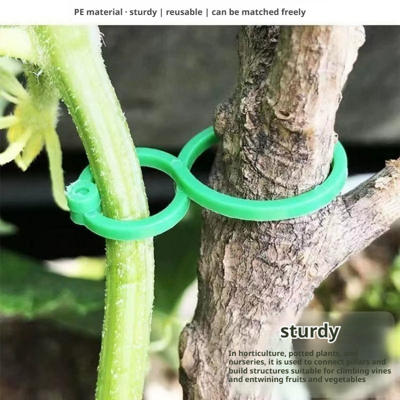 100 Pcs Plant Support Clips He – Vine Climbing Plastic Bewertung und Preis