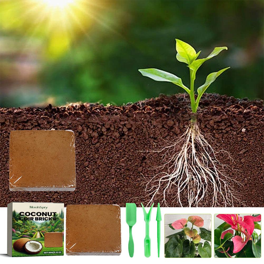 Reptile Coconut Soil Coir Pres – Substrate Coconut Fiber Bewertung und Preis