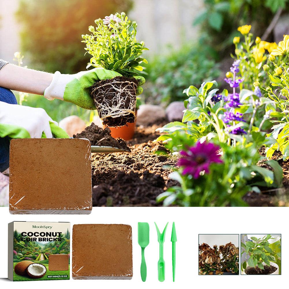Reptile Coconut Soil Coir Pres – Substrate Coconut Fiber Bewertung und Preis