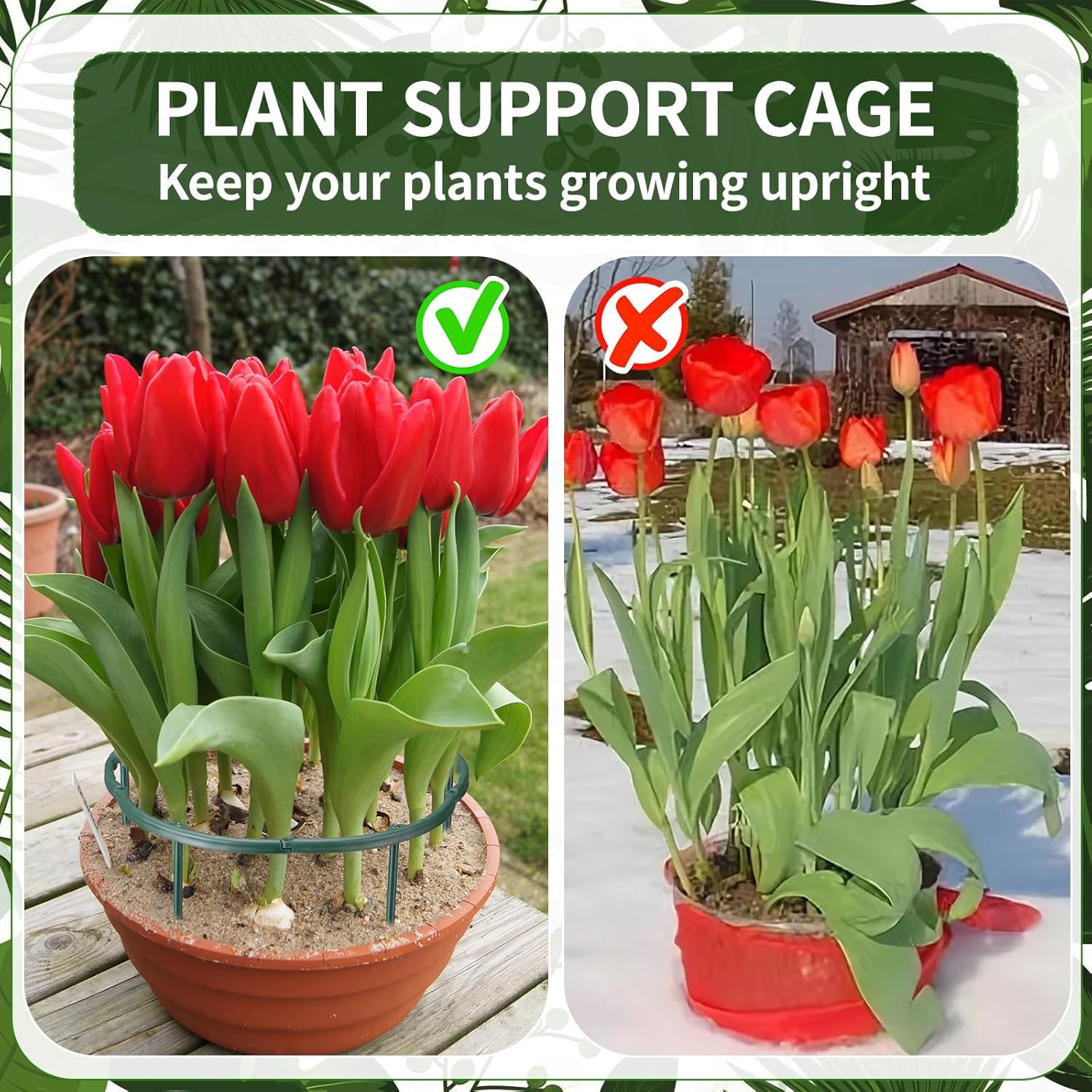 1/16pcs Plant Support Stake Fl – Vine Climbing Plastic Bewertung und Preis