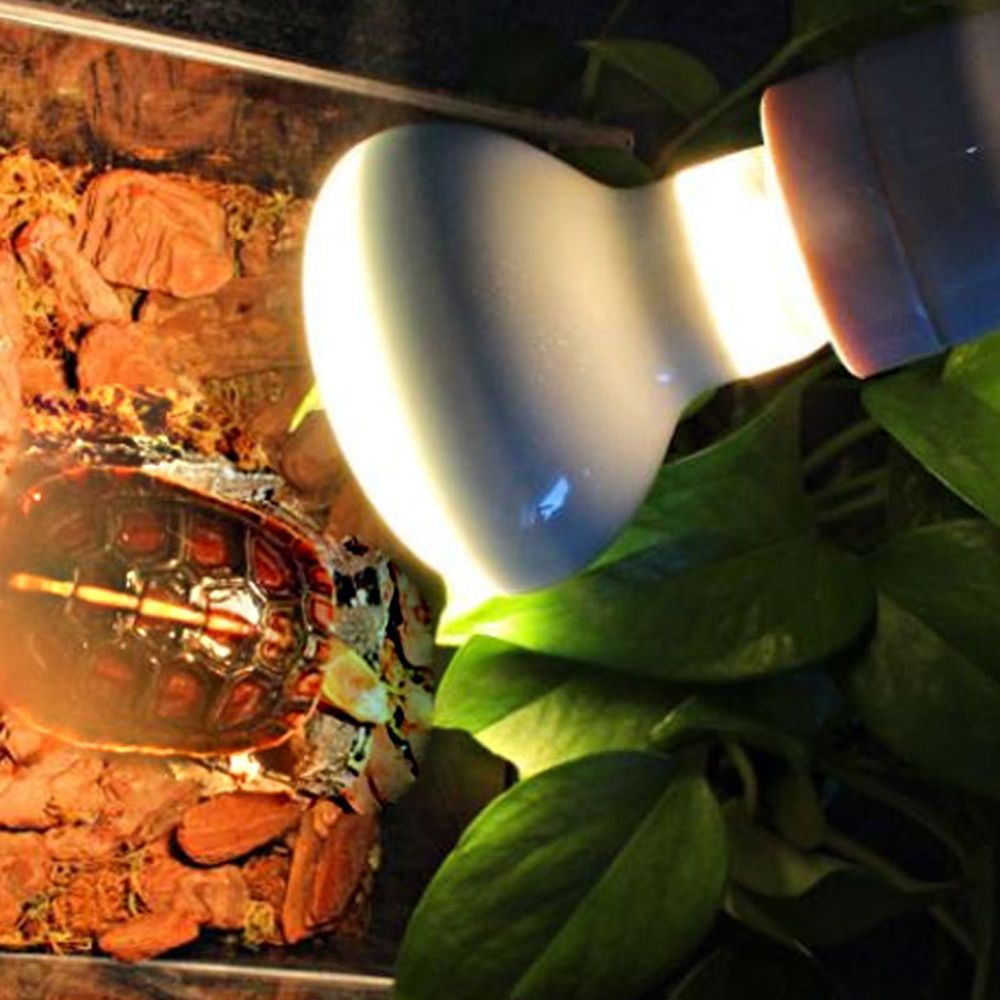 Lizard Heater Temperature Cont – Basking Bulb Halogen Bewertung und Preis