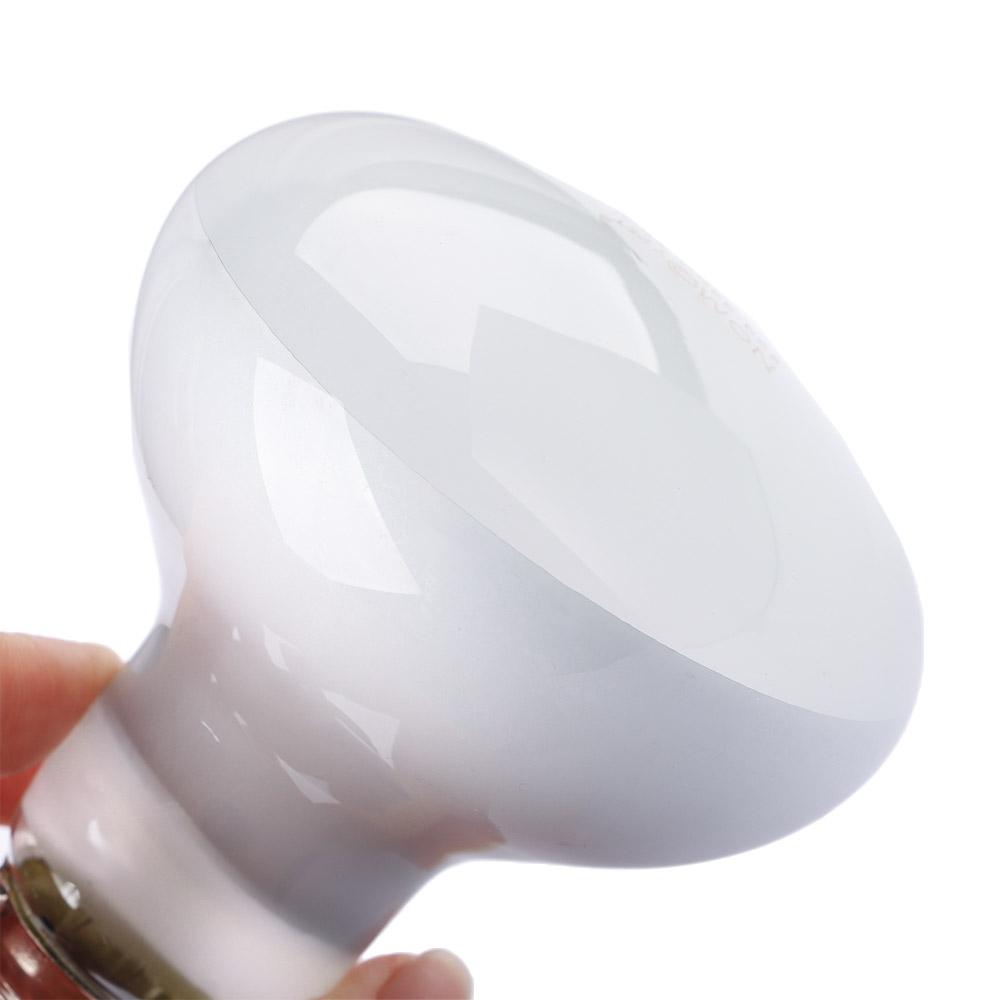 Lizard Heater Temperature Cont – Basking Bulb Halogen Bewertung und Preis