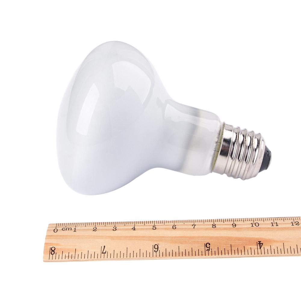 Lizard Heater Temperature Cont – Basking Bulb Halogen Bewertung und Preis