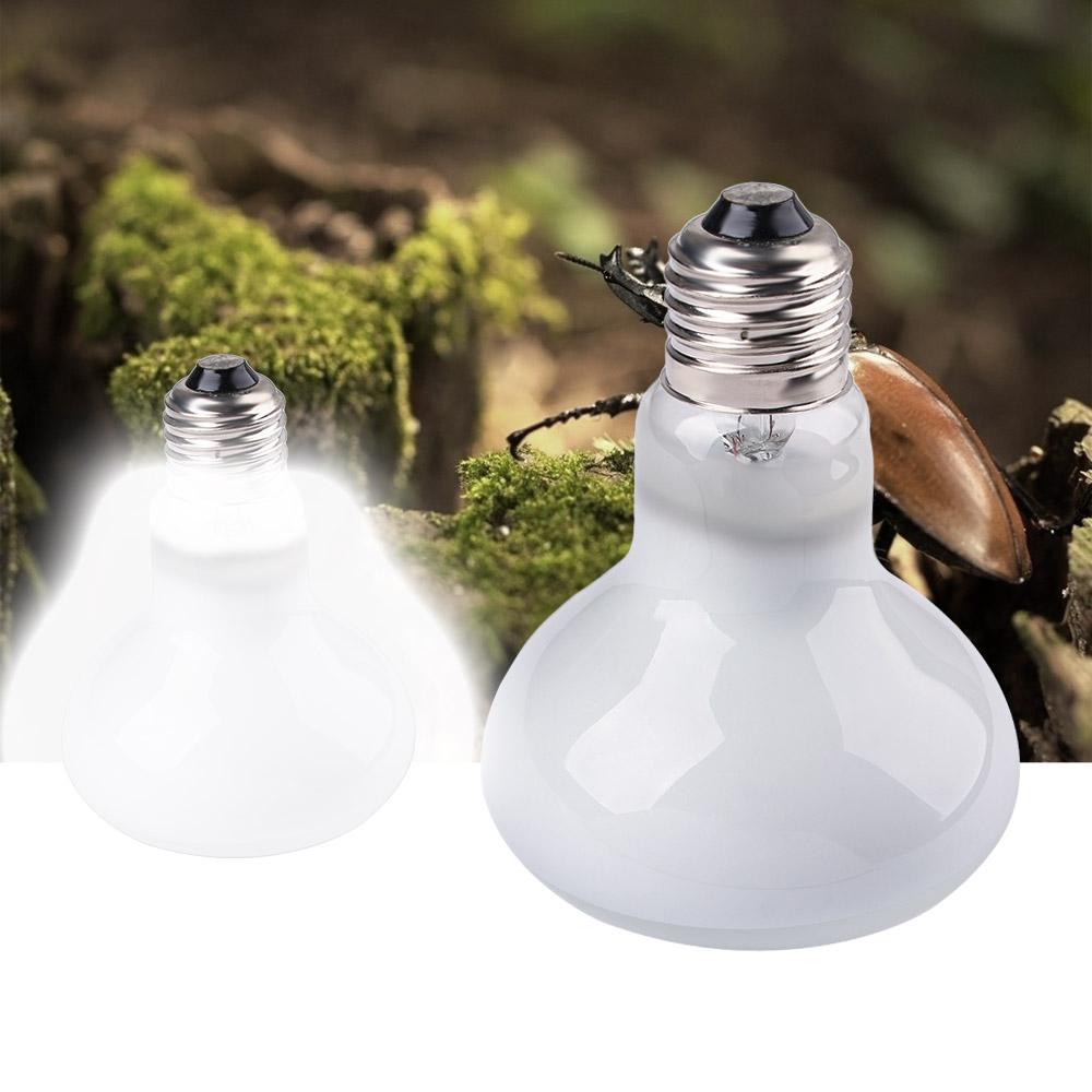 Lizard Temperature Controller  – Basking Bulb Halogen Bewertung und Preis