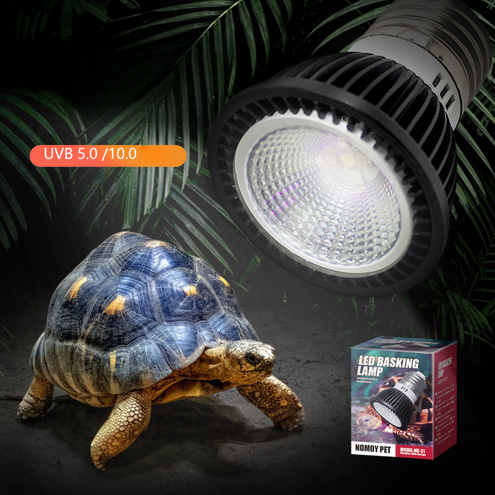 Reptile 110/220V UVB+UVA Light – Calcium Powder Reptile Bewertung und Preis