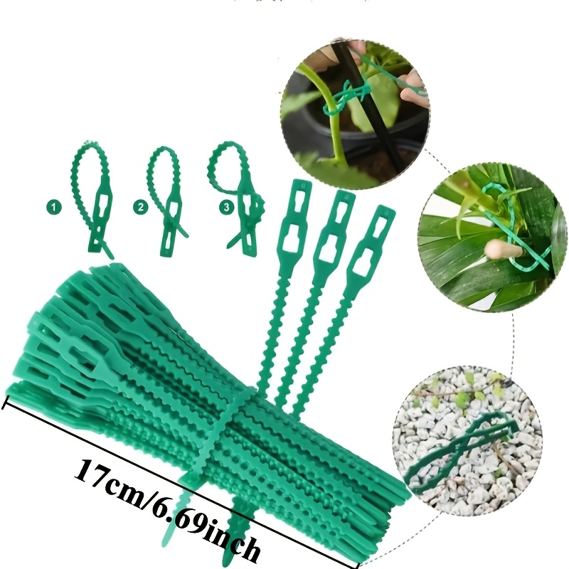 100PCS reusable adjustable pla – Vine Climbing Plastic Bewertung und Preis