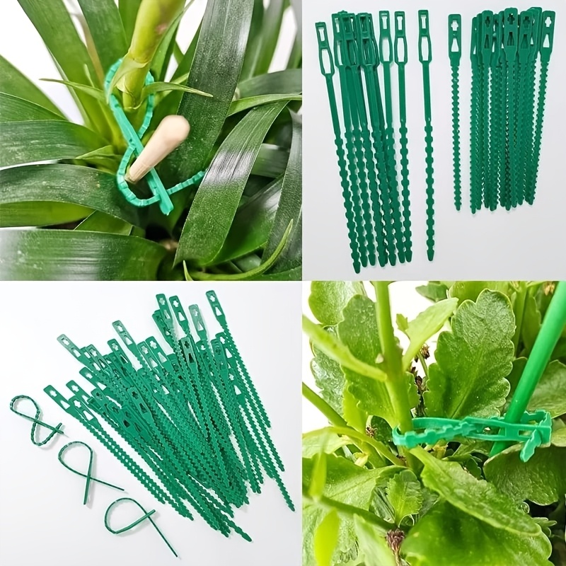 100PCS reusable adjustable pla – Vine Climbing Plastic Bewertung und Preis