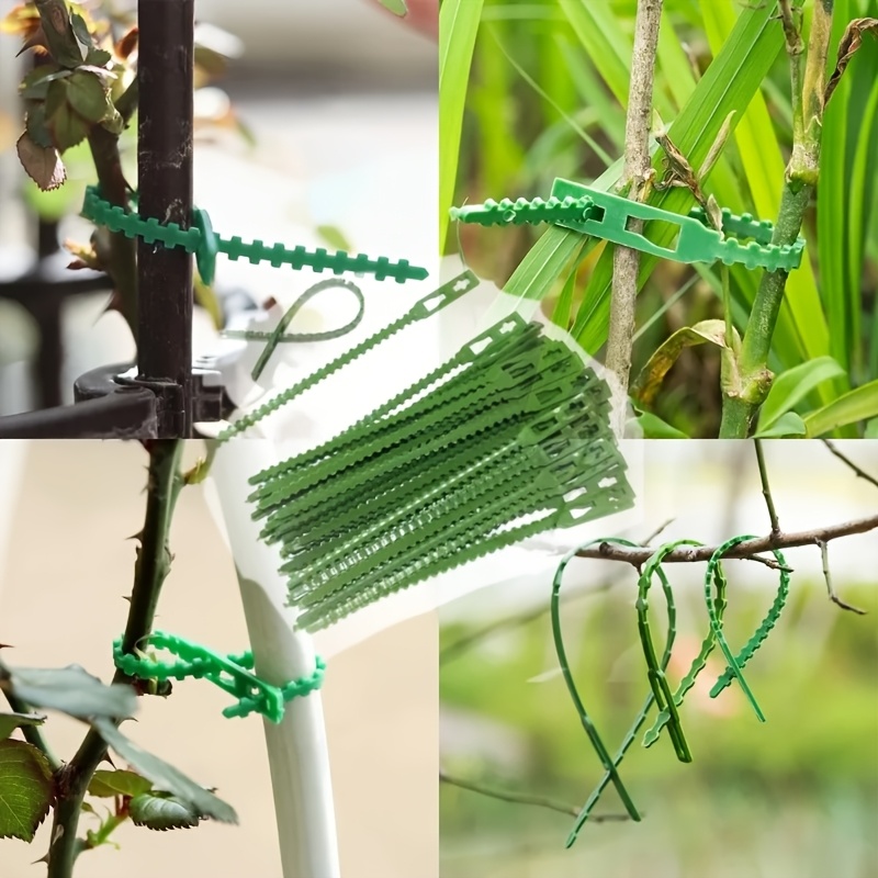 100PCS reusable adjustable pla – Vine Climbing Plastic Bewertung und Preis
