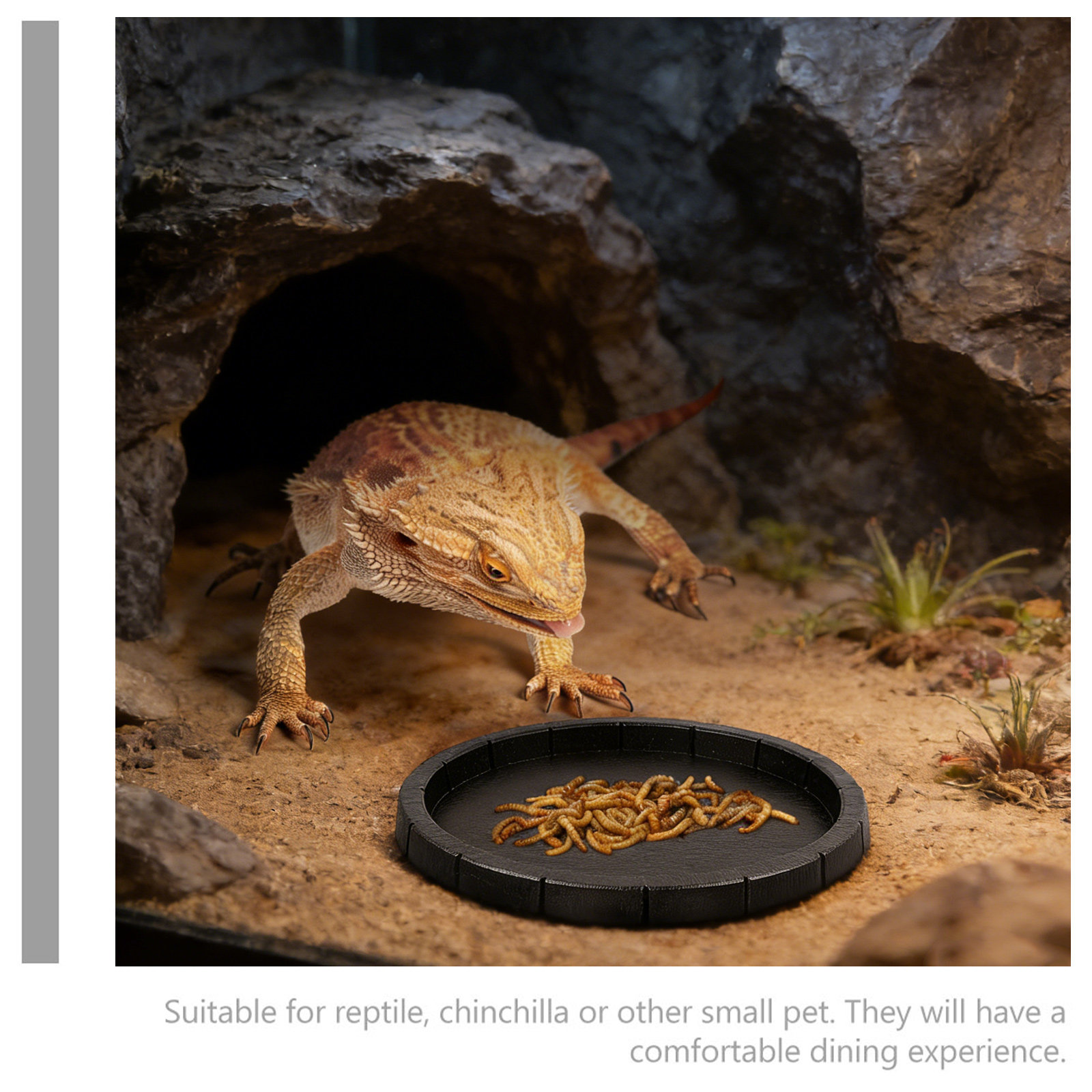 Reptile Feeding Bowl Compact L – Water Dish Reptile Bewertung und Preis