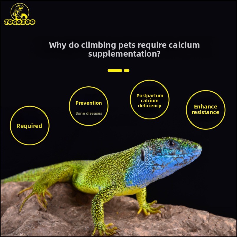 TOGOZOO WILDCAL Reptile Calciu – Calcium Powder Reptile Bewertung und Preis