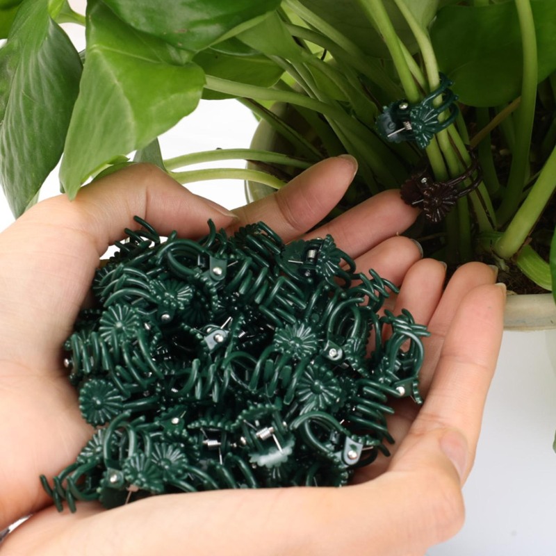 Wholesale Mini Plant Support C – Vine Climbing Plastic Bewertung und Preis