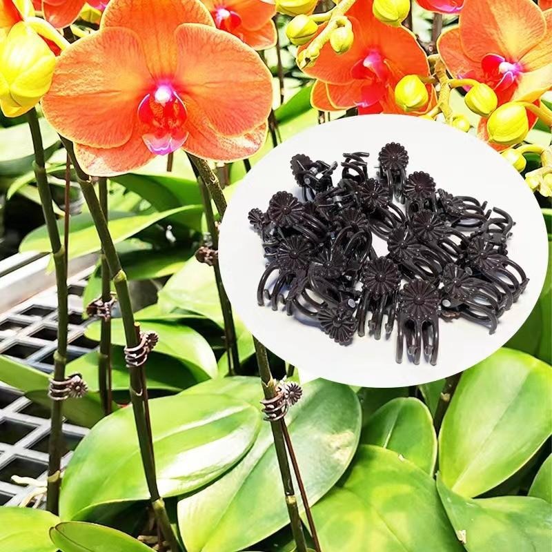 Wholesale Mini Plant Support C – Vine Climbing Plastic Bewertung und Preis