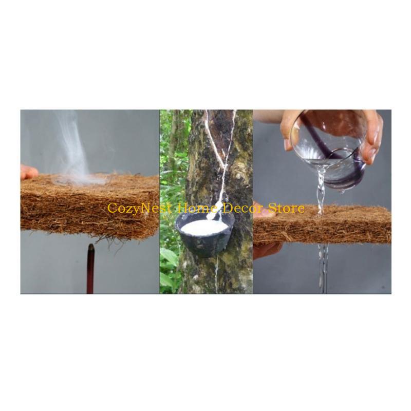 92MF Terrariums Substrate Line – Substrate Coconut Fiber Bewertung und Preis