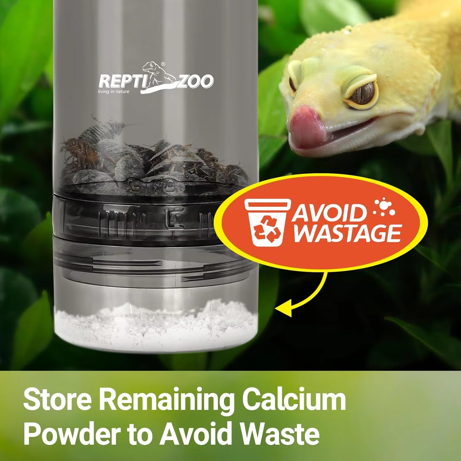 Reptile Calcium Powder Mixing  – Calcium Powder Reptile Bewertung und Preis