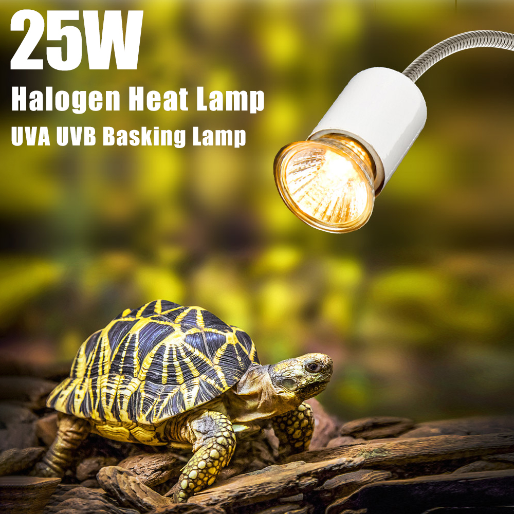 25W Halogen Heat Lamp UVA UVB  – Basking Bulb Halogen Bewertung und Preis