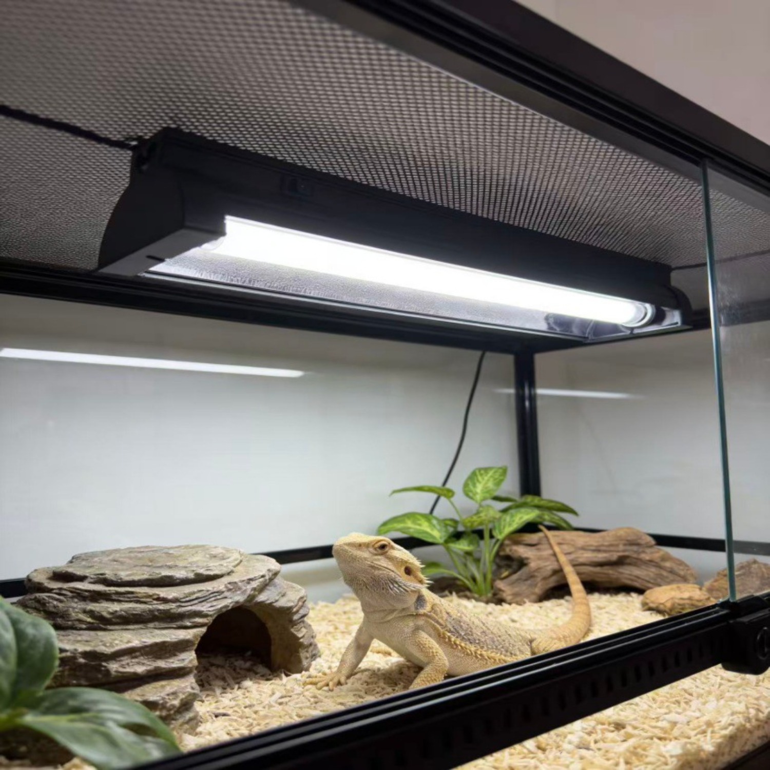 T5 UVB Reptile Light Fixture K – Calcium Powder Reptile Bewertung und Preis
