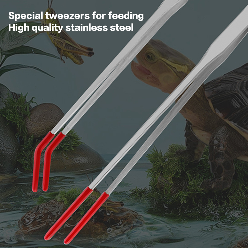 Stainless Steel Reptile With R – Feeding Tong Stainless Bewertung und Preis