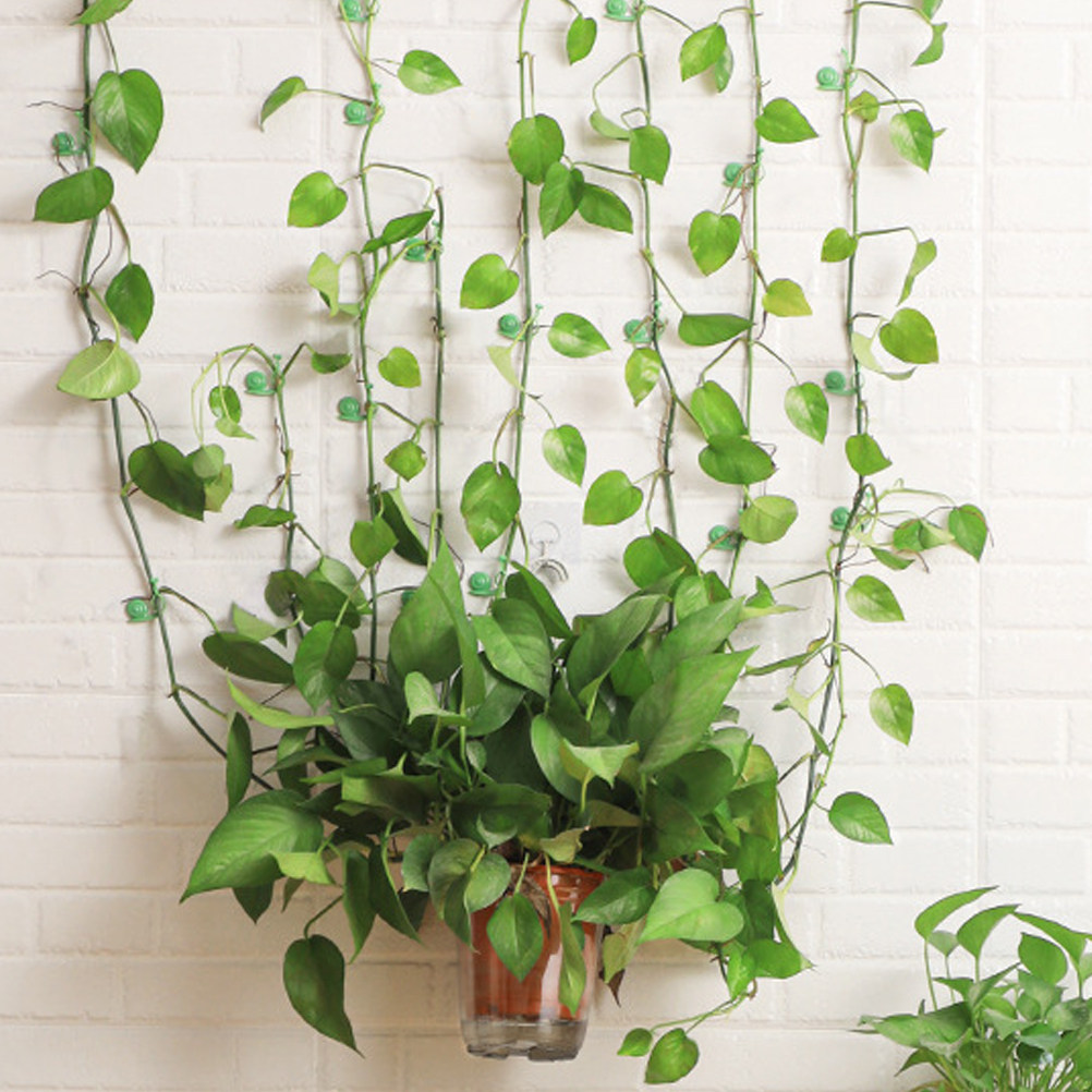 20Pcs Plant Climbing Wall Clip – Vine Climbing Plastic Bewertung und Preis