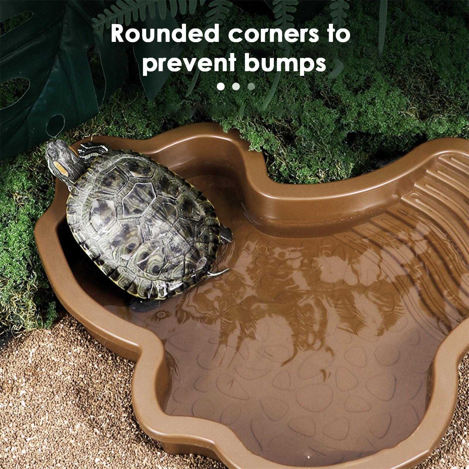 Reptile Bathing Pool with Ramp – Water Dish Reptile Bewertung und Preis