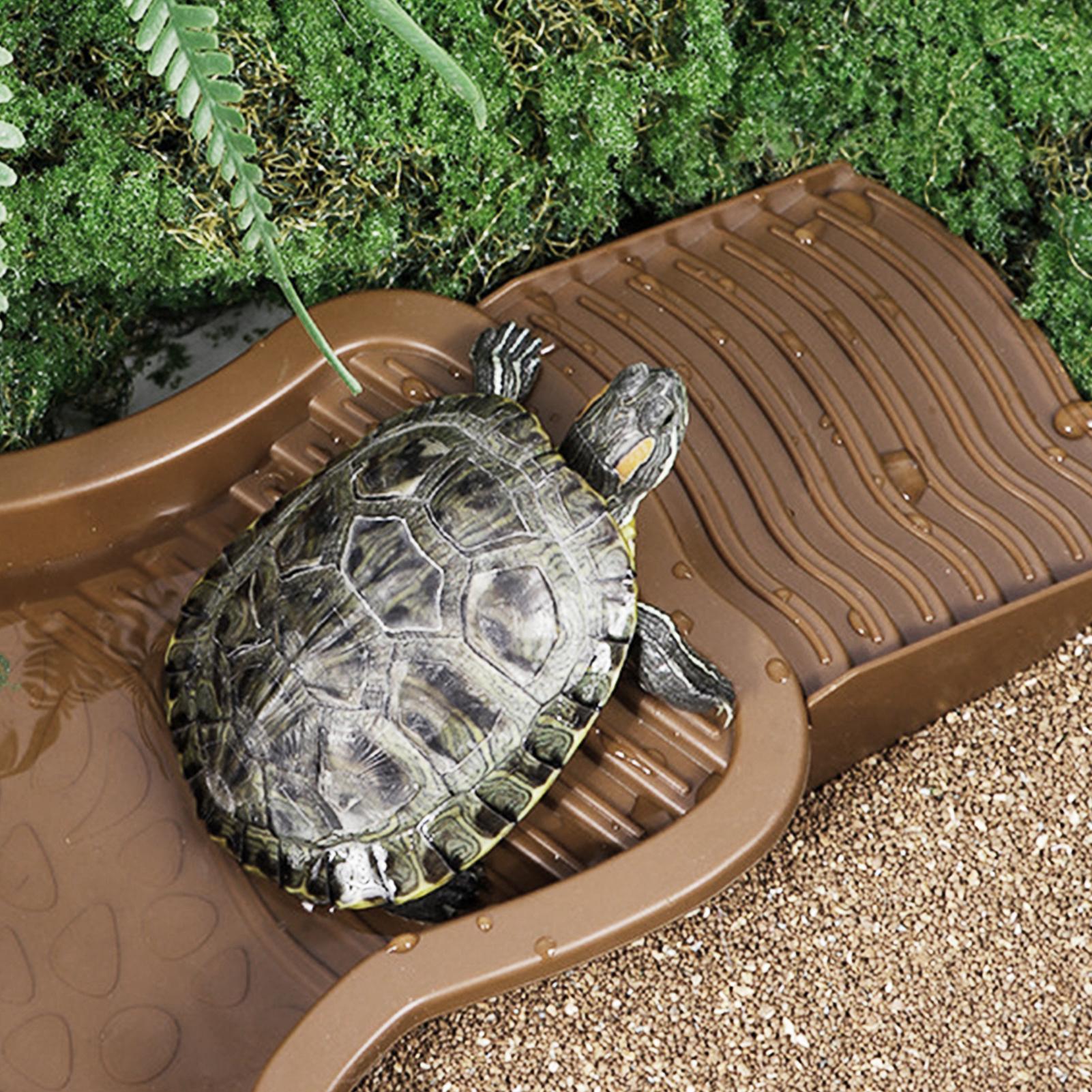 Reptile Bathing Pool with Ramp – Water Dish Reptile Bewertung und Preis