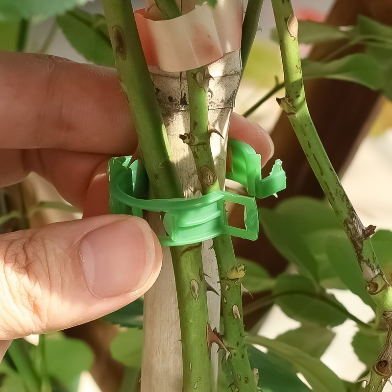 10-500Pcs Garden Plant Support – Vine Climbing Plastic Bewertung und Preis