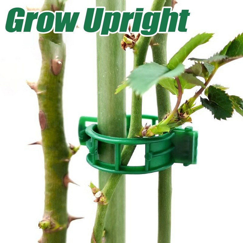 10-500Pcs Garden Plant Support – Vine Climbing Plastic Bewertung und Preis