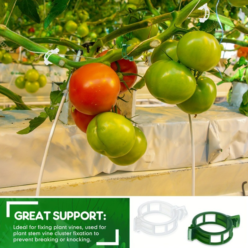 10-500Pcs Garden Plant Support – Vine Climbing Plastic Bewertung und Preis