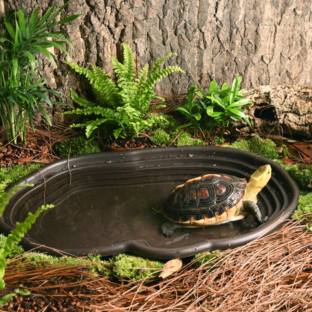 Reptile Bathing Dish Amphibian – Water Dish Reptile Bewertung und Preis