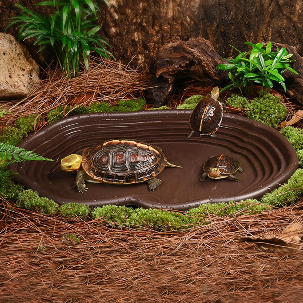Reptile Bathing Dish Amphibian – Water Dish Reptile Bewertung und Preis