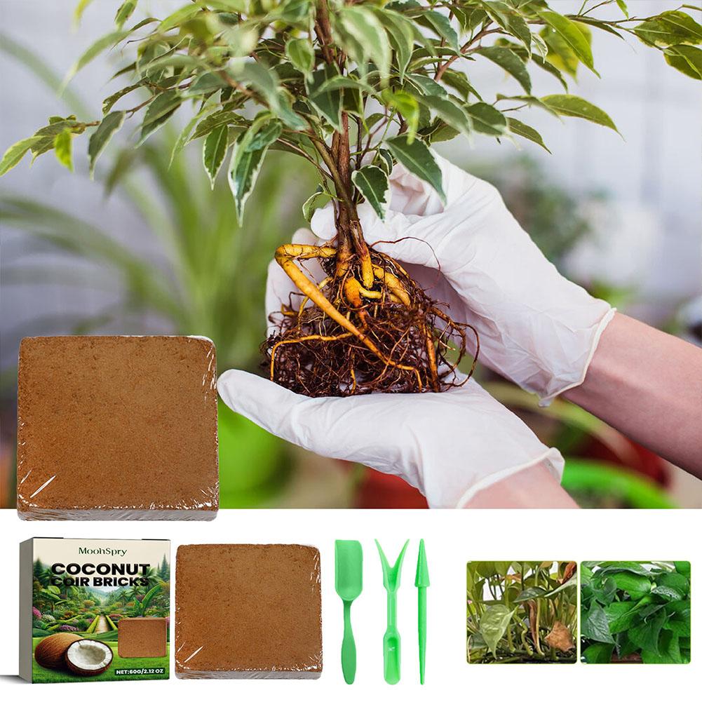 Coconut Coir Fiber Brick - Org – Substrate Coconut Fiber Bewertung und Preis