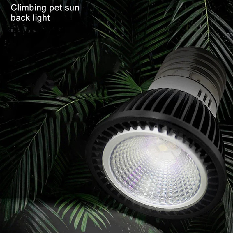 A03F-5X 110V Reptile UVB Light – Calcium Powder Reptile Bewertung und Preis
