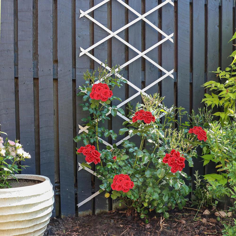 Expandable Garden Trellis 70 x – Vine Climbing Plastic Bewertung und Preis