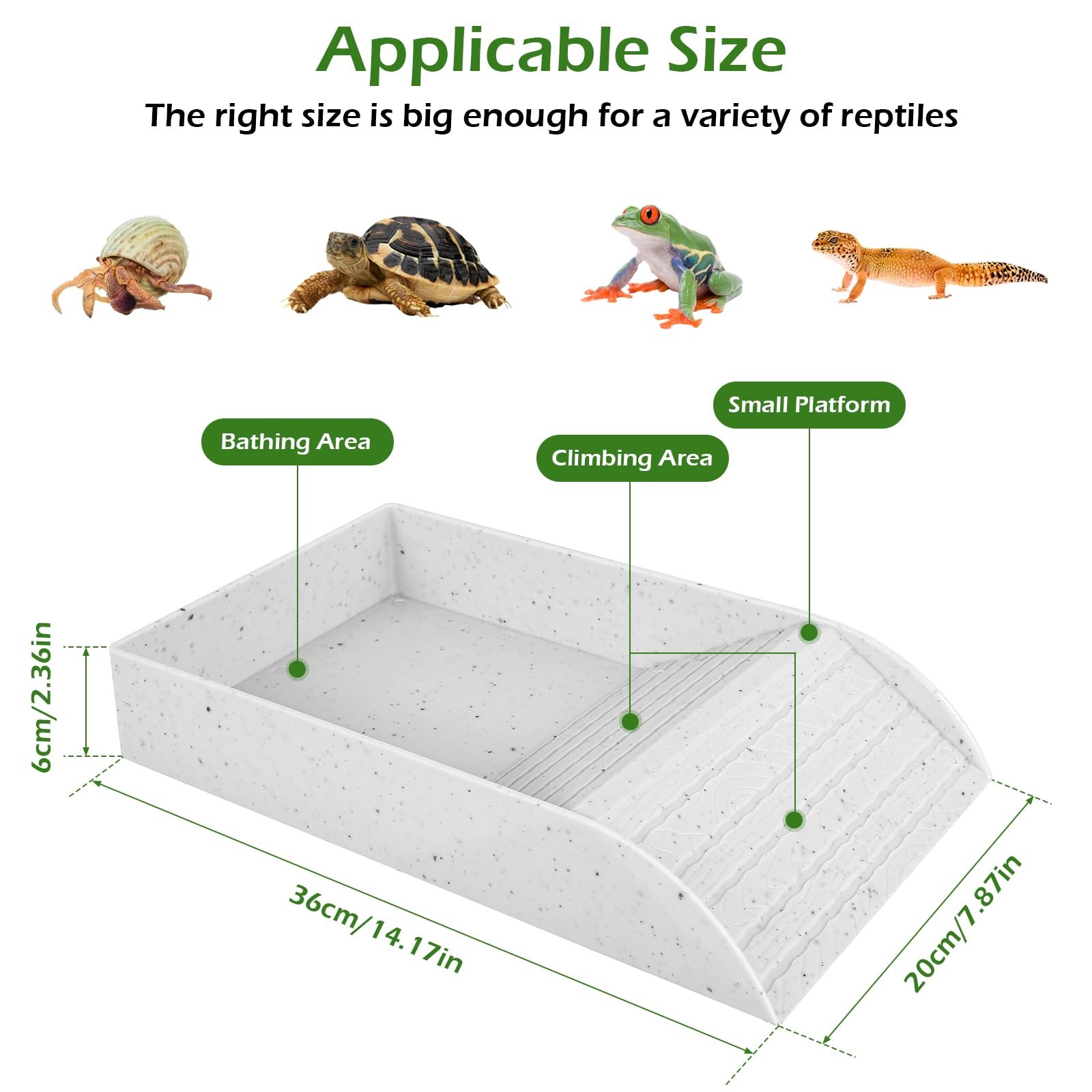 Anti Slip Tortoise Bath Dish T – Water Dish Reptile Bewertung und Preis
