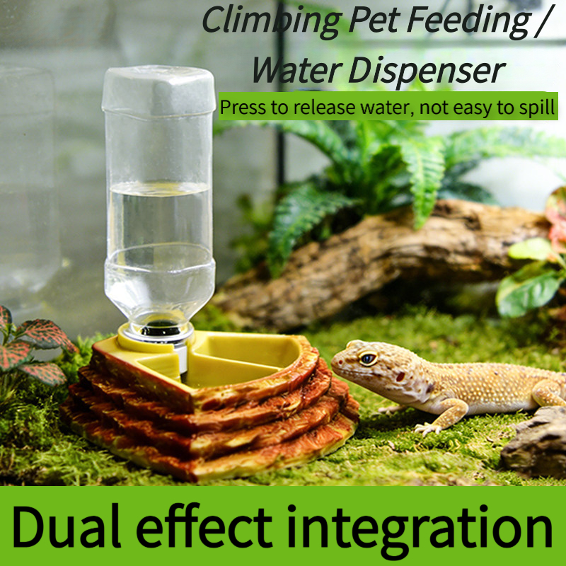 2 in 1 Reptile Water Cup Feede – Water Dish Reptile Bewertung und Preis
