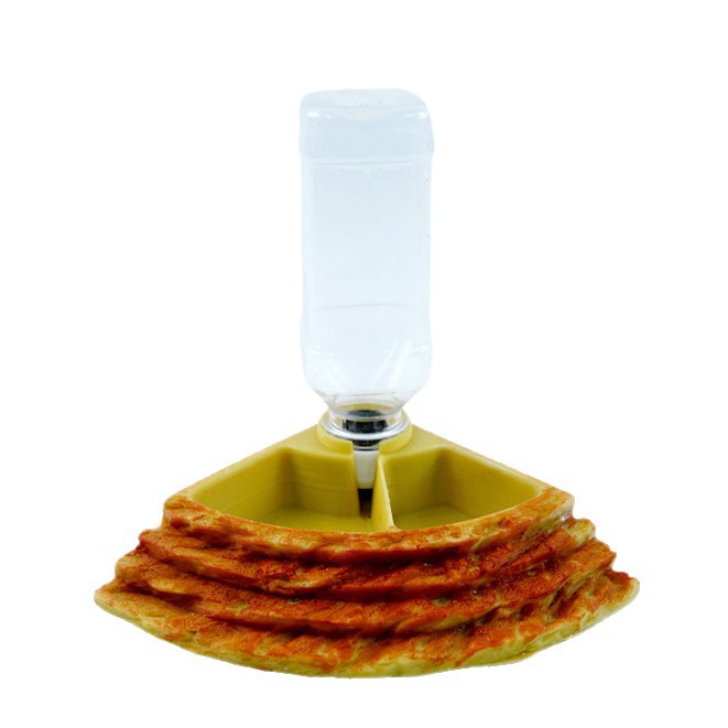 2 in 1 Reptile Water Cup Feede – Water Dish Reptile Bewertung und Preis