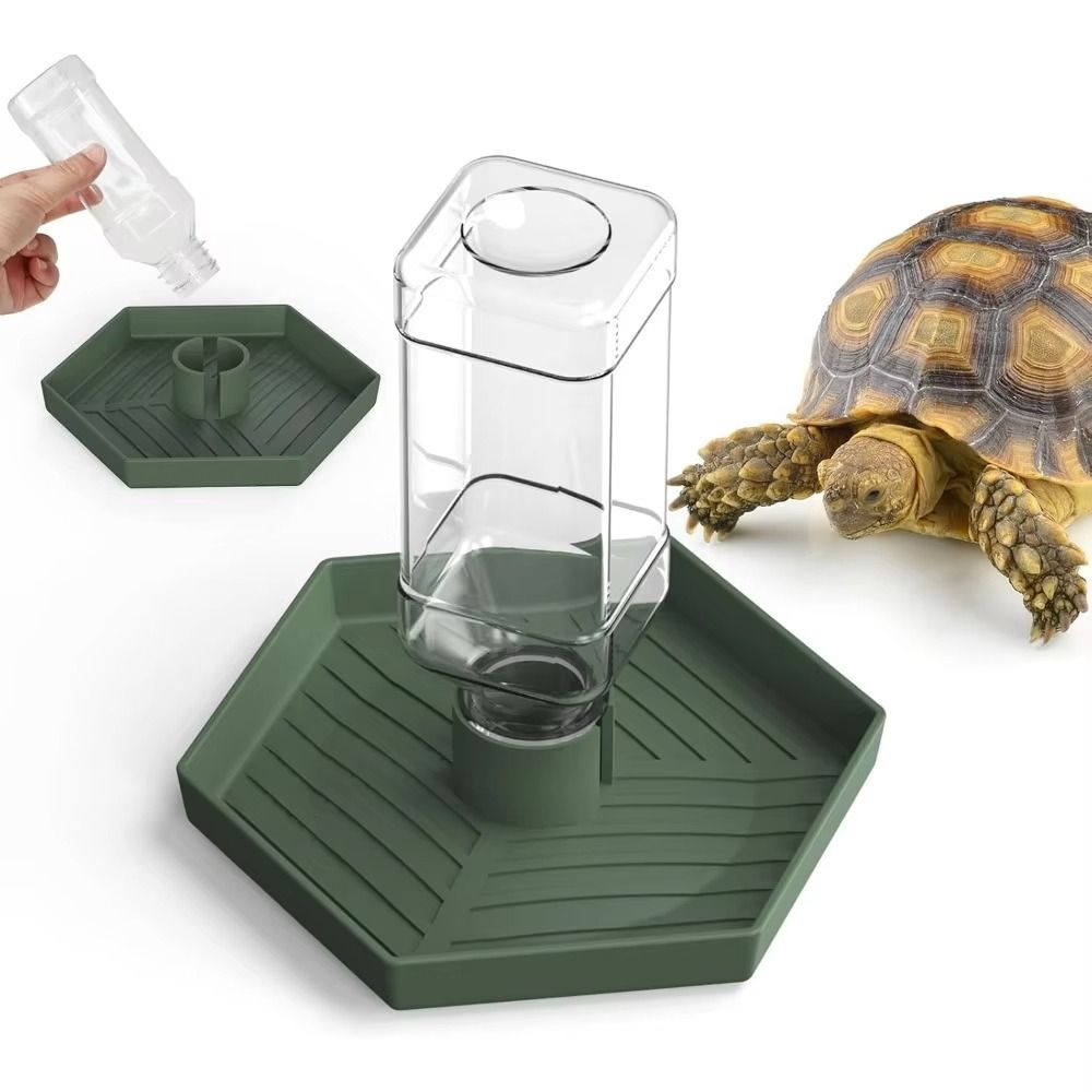 Turtle Food Bowl Anti-slip Rep – Water Dish Reptile Bewertung und Preis