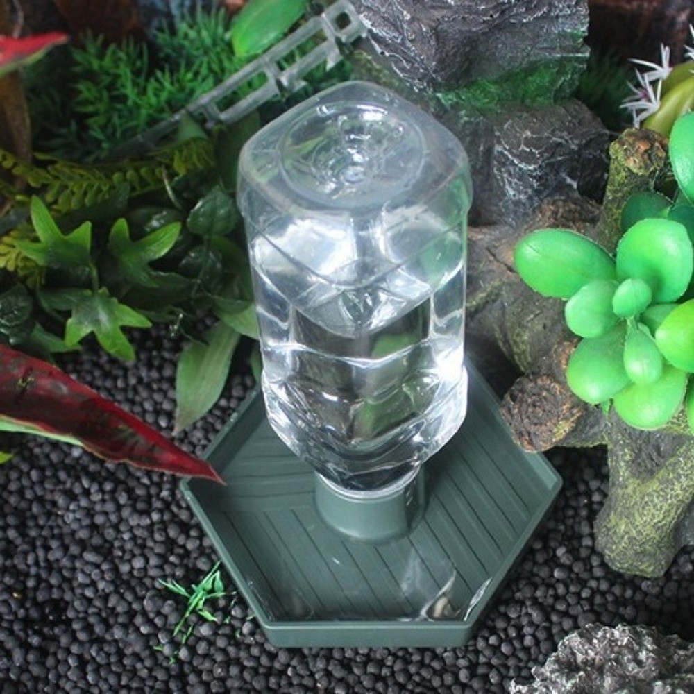 Turtle Food Bowl Anti-slip Rep – Water Dish Reptile Bewertung und Preis