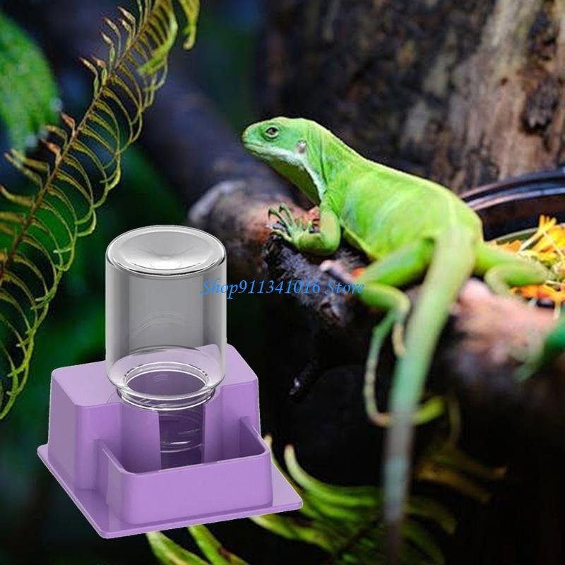  Multifunctional Reptiles Drin – Water Dish Reptile Bewertung und Preis