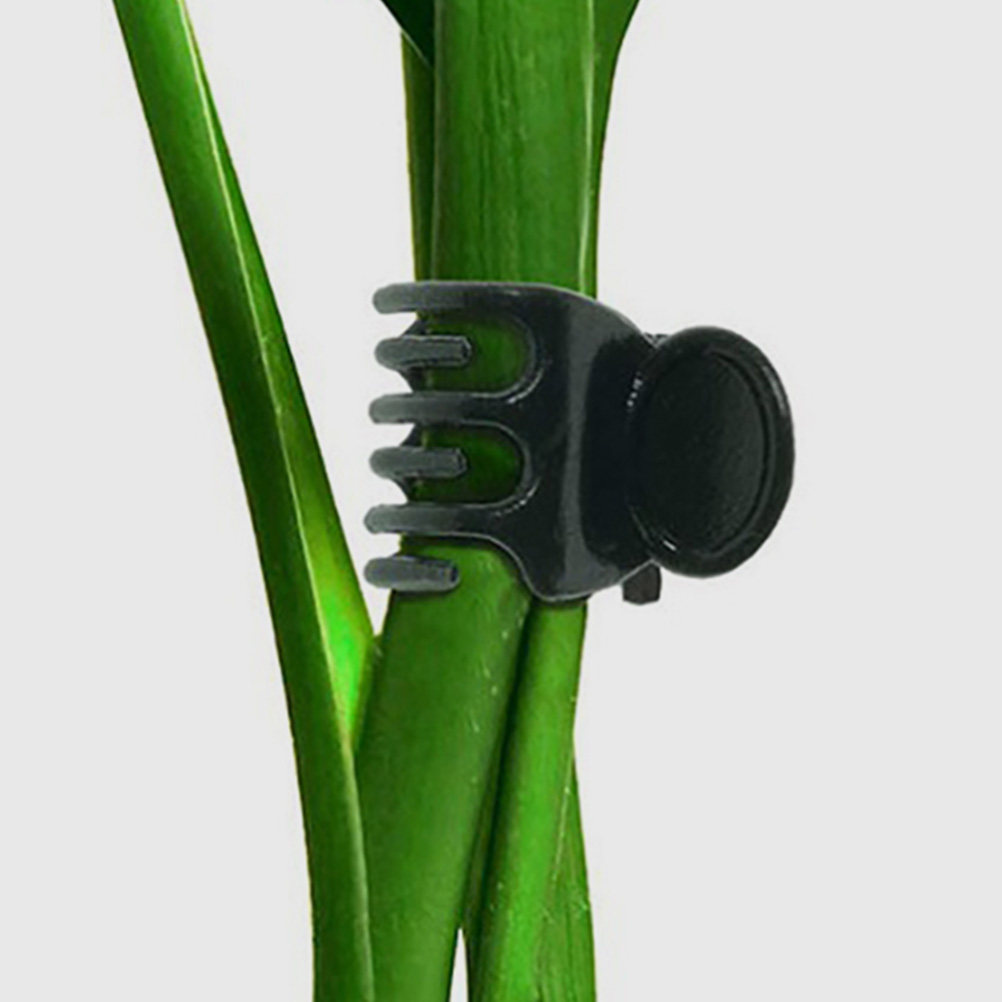 60Pcs Plastic Plant Clips Gard – Vine Climbing Plastic Bewertung und Preis
