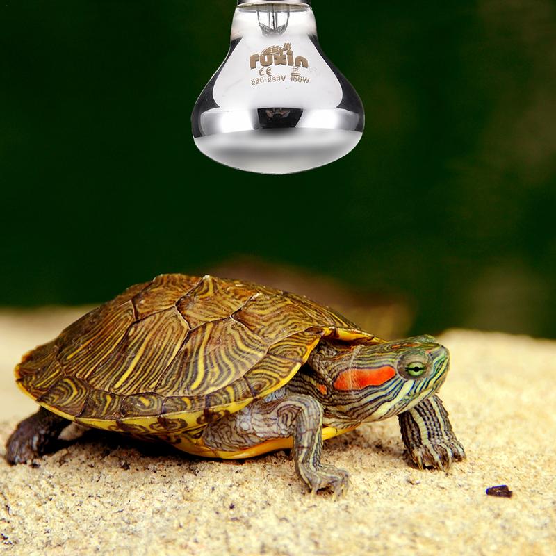 Pet Heating Lamp E27 Day Night – Ceramic Heat Emitter Bewertung und Preis