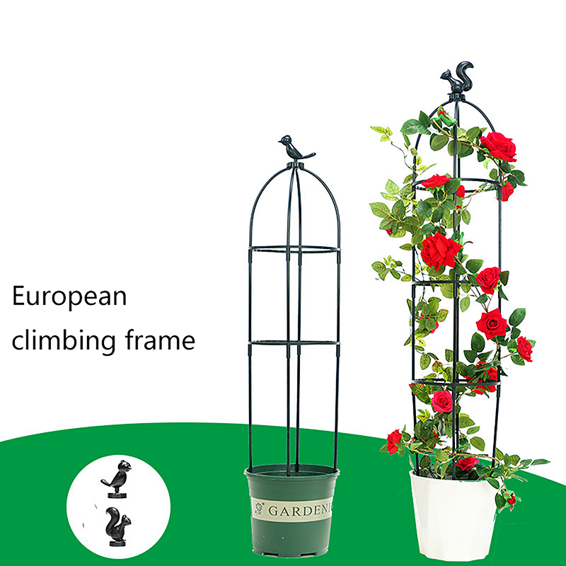 C 1Set Climbing Plant Trellis  – Vine Climbing Plastic Bewertung und Preis